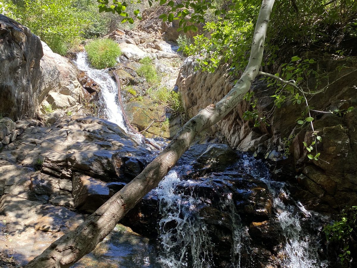 A small waterfall flowing over rocks in a green canyon